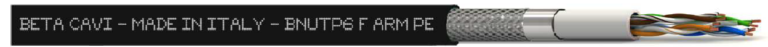 BNUTP6 F PE ARM